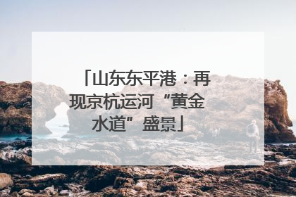 山东东平港：再现京杭运河“黄金水道”盛景
