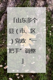 山东多个县（市、区）党政“一把手”调整