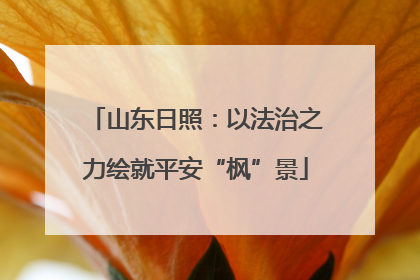山东日照：以法治之力绘就平安“枫”景