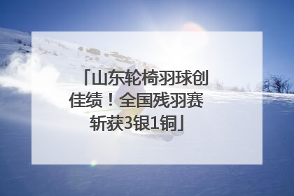 山东轮椅羽球创佳绩！全国残羽赛斩获3银1铜