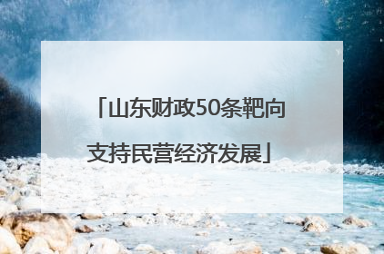 山东财政50条靶向支持民营经济发展