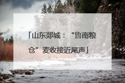 山东郯城：“鲁南粮仓”麦收接近尾声