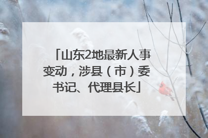 山东2地最新人事变动，涉县（市）委书记、代理县长