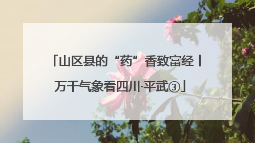 山区县的“药”香致富经丨万千气象看四川·平武③