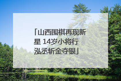 山西围棋再现新星 14岁小将行泓丞斩金夺银