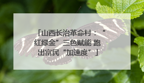 山西长治革命村：“红绿金”三色赋能 跑出富民“加速度”