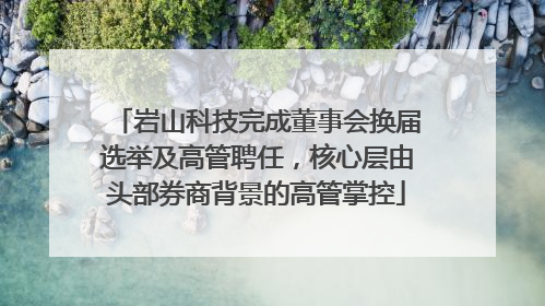 岩山科技完成董事会换届选举及高管聘任，核心层由头部券商背景的高管掌控