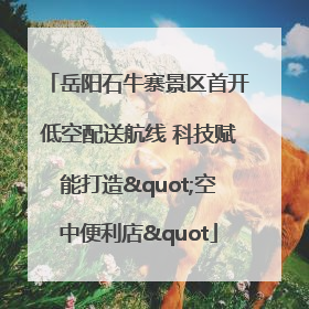 岳阳石牛寨景区首开低空配送航线 科技赋能打造"空中便利店"
