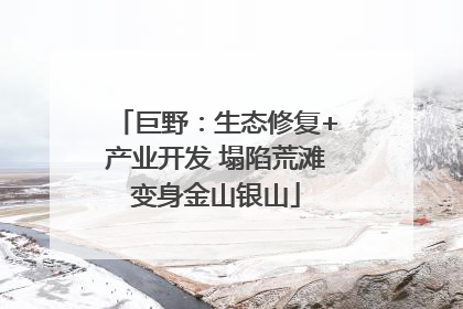 巨野：生态修复+产业开发 塌陷荒滩变身金山银山