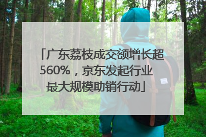 广东荔枝成交额增长超560%，京东发起行业最大规模助销行动