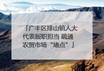 广丰区排山镇人大代表履职担当 疏通农贸市场“堵点”
