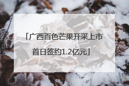 广西百色芒果开采上市 首日签约1.2亿元