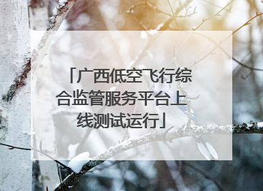 广西低空飞行综合监管服务平台上线测试运行