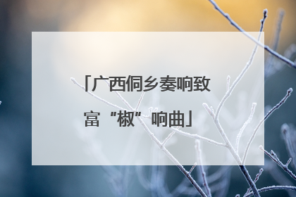 广西侗乡奏响致富“椒”响曲
