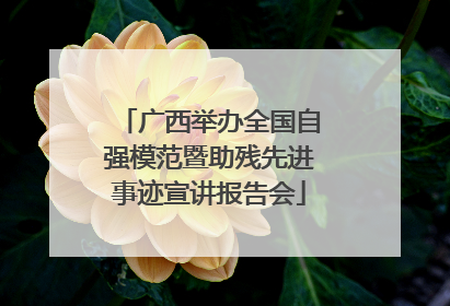 广西举办全国自强模范暨助残先进事迹宣讲报告会