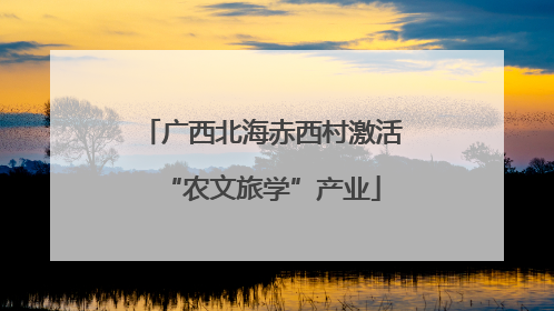 广西北海赤西村激活“农文旅学”产业