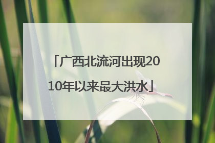广西北流河出现2010年以来最大洪水