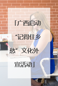 广西启动“记得住乡愁”文化外宣活动