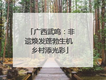 广西武鸣：非遗焕发蓬勃生机 乡村添光彩