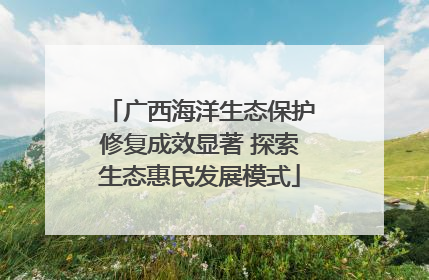 广西海洋生态保护修复成效显著 探索生态惠民发展模式