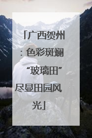 广西贺州：色彩斑斓“玻璃田”尽显田园风光