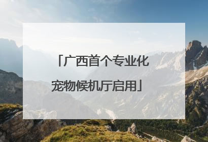 广西首个专业化宠物候机厅启用