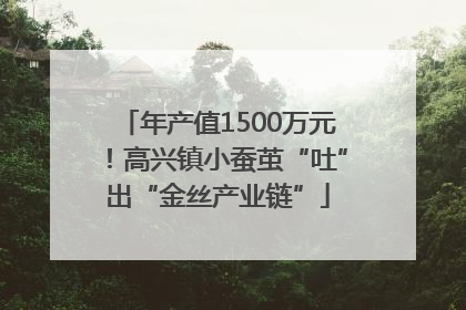 年产值1500万元！高兴镇小蚕茧“吐”出“金丝产业链”