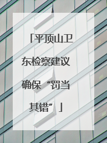 平顶山卫东检察建议确保“罚当其错”