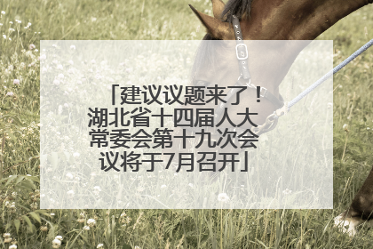 建议议题来了！湖北省十四届人大常委会第十九次会议将于7月召开