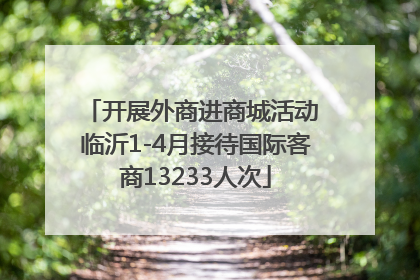 开展外商进商城活动 临沂1-4月接待国际客商13233人次