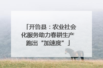 开鲁县：农业社会化服务助力春耕生产跑出“加速度”