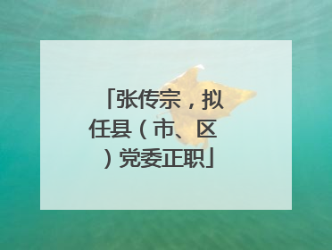 张传宗，拟任县（市、区）党委正职