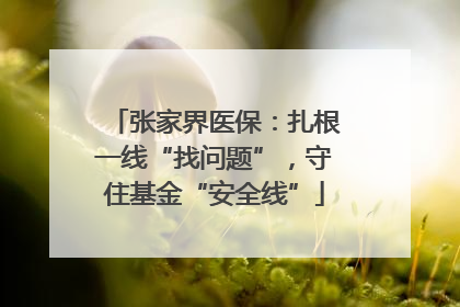 张家界医保：扎根一线“找问题”，守住基金“安全线”
