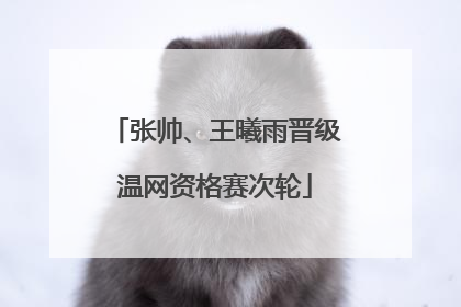 张帅、王曦雨晋级温网资格赛次轮