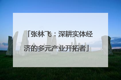 张林飞：深耕实体经济的多元产业开拓者