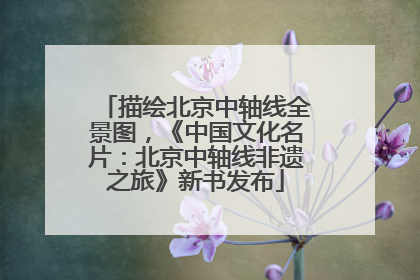 描绘北京中轴线全景图，《中国文化名片：北京中轴线非遗之旅》新书发布