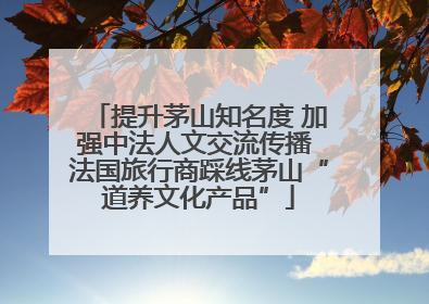 提升茅山知名度 加强中法人文交流传播 法国旅行商踩线茅山“道养文化产品”