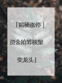 揭秘涨停｜资金抢筹核聚变龙头
