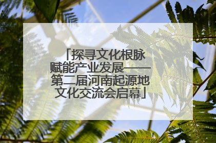 探寻文化根脉 赋能产业发展——第二届河南起源地文化交流会启幕