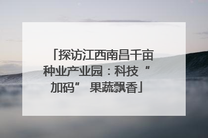 探访江西南昌千亩种业产业园：科技“加码” 果蔬飘香