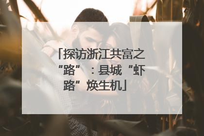探访浙江共富之“路”：县城“虾路”焕生机