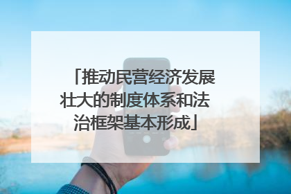 推动民营经济发展壮大的制度体系和法治框架基本形成