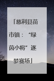 慈利县苗市镇：“绿茵小将”逐梦赛场