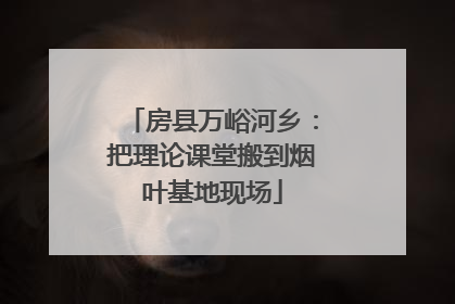 房县万峪河乡：把理论课堂搬到烟叶基地现场