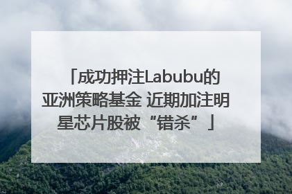 成功押注Labubu的亚洲策略基金 近期加注明星芯片股被“错杀”