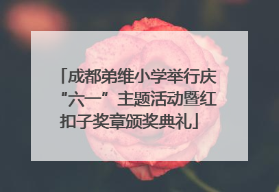 成都弟维小学举行庆“六一”主题活动暨红扣子奖章颁奖典礼