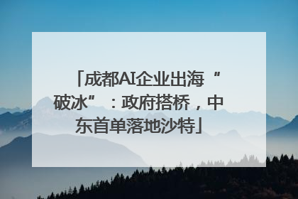 成都AI企业出海“破冰”：政府搭桥，中东首单落地沙特