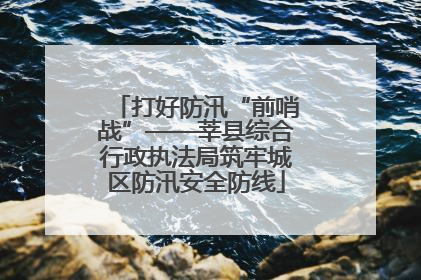 打好防汛“前哨战”——莘县综合行政执法局筑牢城区防汛安全防线