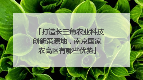 打造长三角农业科技创新策源地，南京国家农高区有哪些优势