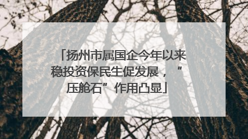 扬州市属国企今年以来稳投资保民生促发展，“压舱石”作用凸显